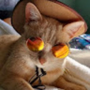 Meet your Posher, Omar